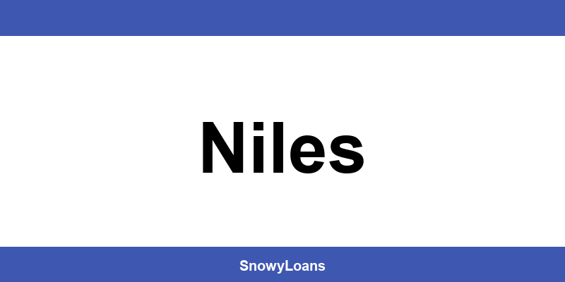 Eagle Loan Niles - Phone number and contact details